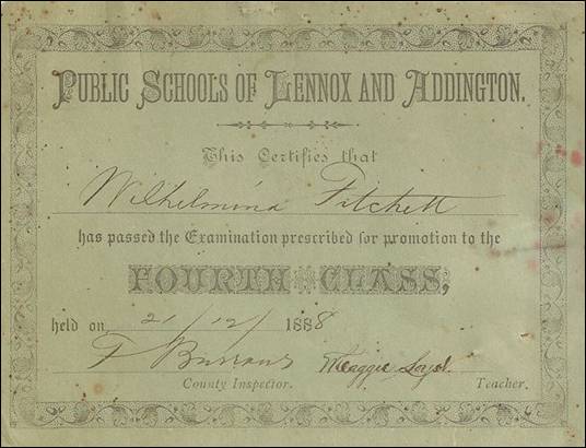 1888 Wilhelmina Fitchett promotion certificate SS5 Sillsville ed